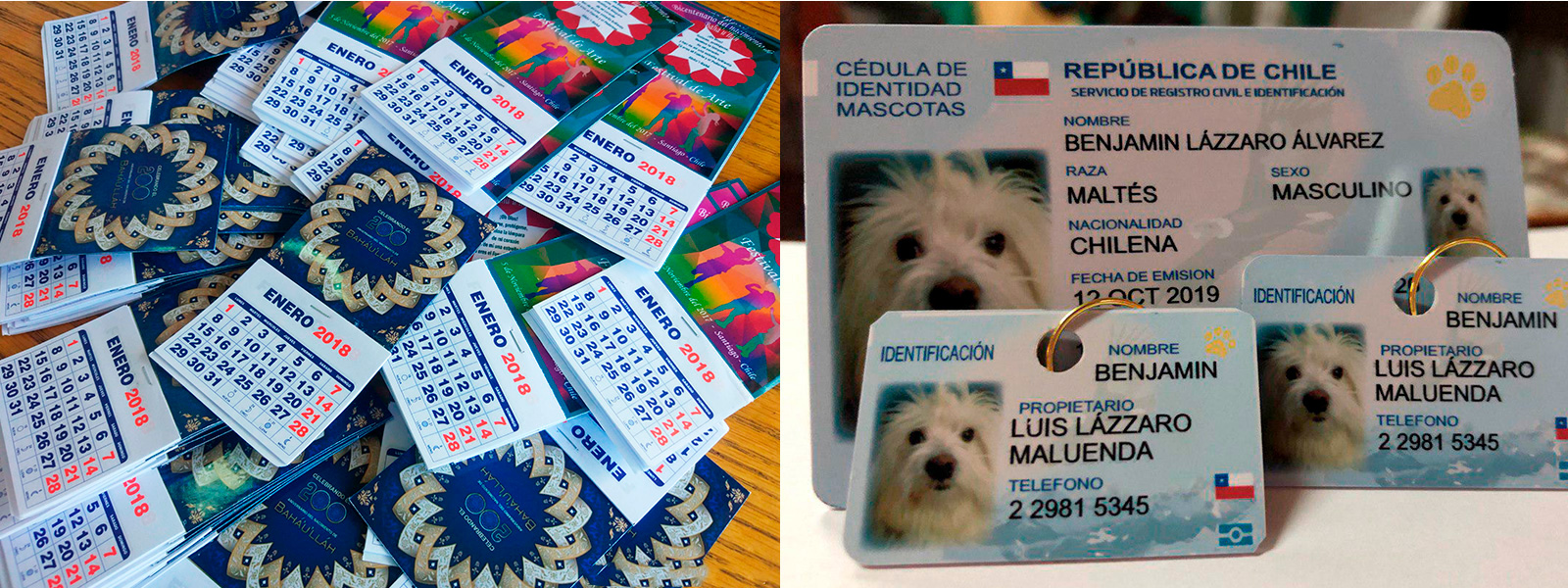 portada-inicio-1