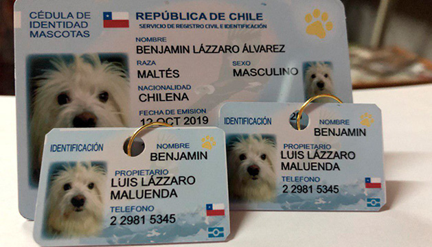 MASCOTA-2